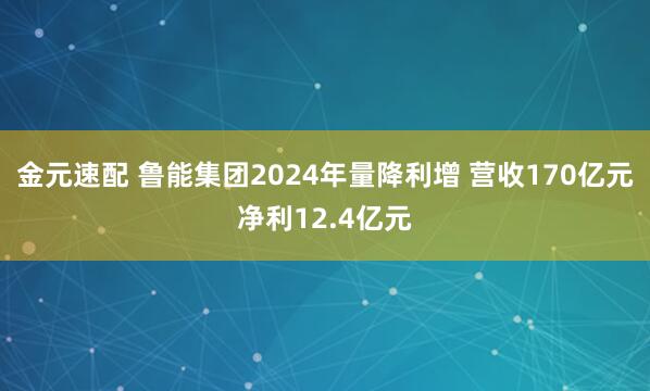 金元速配 鲁能集团2024年量降利增 营收170亿元净利12.4亿元