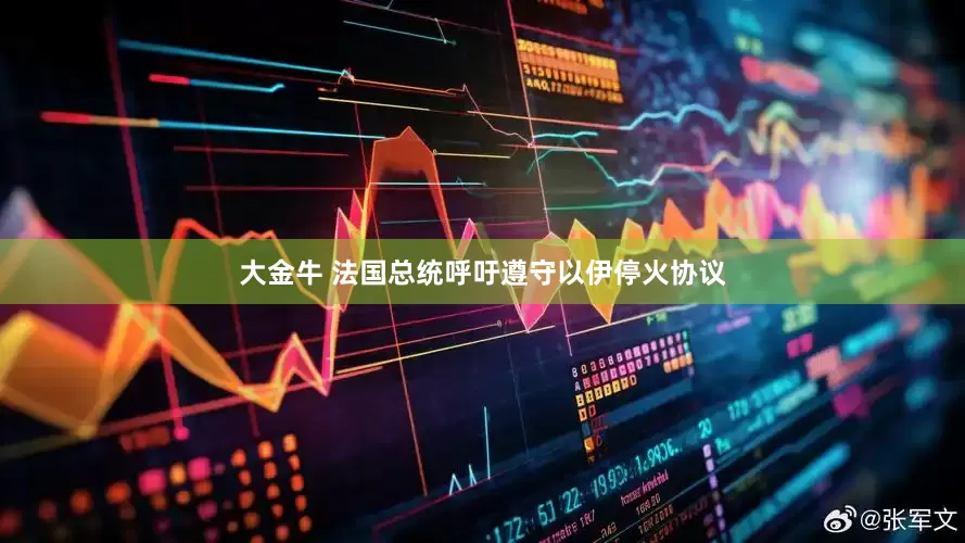 大金牛 法国总统呼吁遵守以伊停火协议
