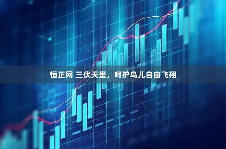 恒正网 三伏天里，呵护鸟儿自由飞翔