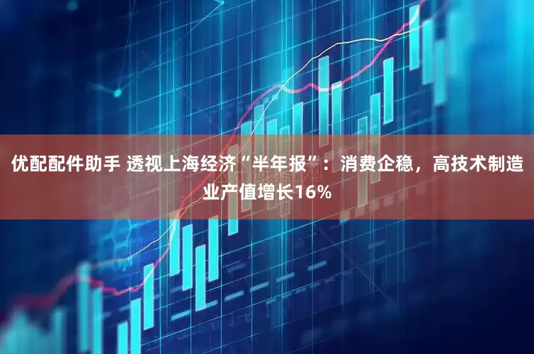 优配配件助手 透视上海经济“半年报”：消费企稳，高技术制造业产值增长16%