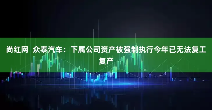 尚红网  众泰汽车：下属公司资产被强制执行今年已无法复工复产