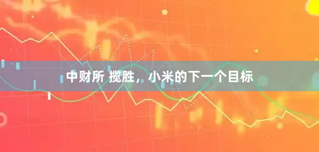 中财所 揽胜，小米的下一个目标