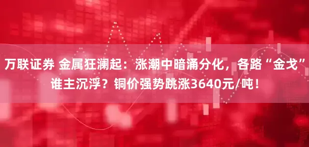 万联证券 金属狂澜起：涨潮中暗涌分化，各路“金戈”谁主沉浮？铜价强势跳涨3640元/吨！